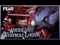 The Piccadilly Circus Rampage | An American Werewolf In London