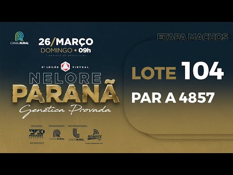 LOTE 104 PAR A4857