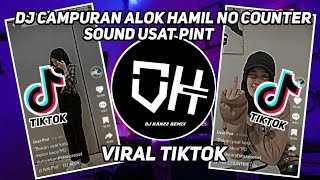 DJ CAMPURAN ALOK HAMIL NO COUNTER SOUND USAT PINT VIRAL TIKTOK 2022