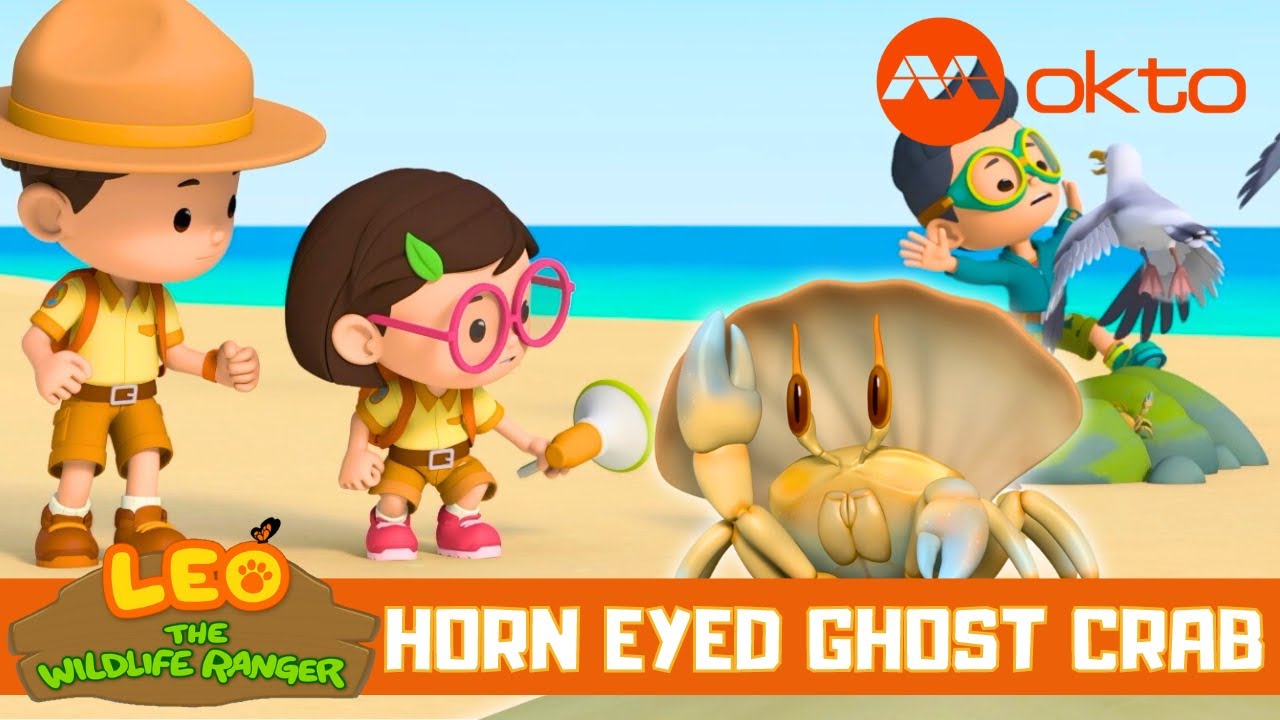 Oh CRAB, let's find you a NEW HOME! | Leo the Wildlife Ranger