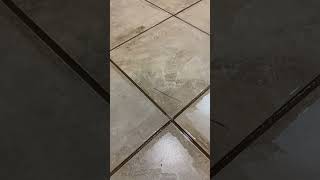 Zep Grout Cleaner and Brightener Overview | Recommended or Not? #ad #amazoninfluencer