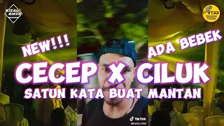 ™🌴 CECEP X CILUK _ REMIX ( Rizal Rmxr ) Full Party Terbaru 2023