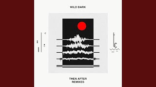 Why Not feat. Alex Who? (Los Suruba & Wild Dark Edition)