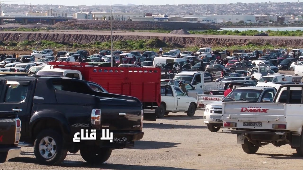 ديماكس ب30مليون عالمبااشر..بيعة وشرية بصواردها هه الكراهب غالية واللي يشري بالرخيص يا ضربة حظ يا غشة