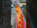 Marble Run Freedom's Dragon Ball Marble Run②