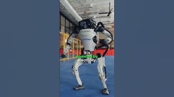 Fun facts on Atlas #boston #atlas #ai #robot #robotics #video #viral #foryou #usa #fyp #trending