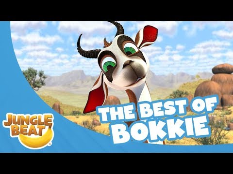 The Best of Bokkie   Jungle Beat Compilation Full Episodes