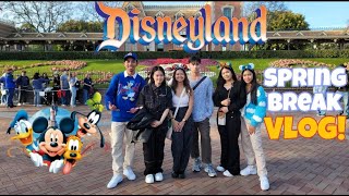 Shenanigans at Disneyland [Spring Break Vlog]