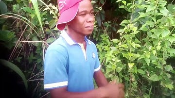 Star Lite - Wan Gren Bɔbɔ - Official Music Video (2025)