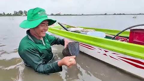 Đặc sản sông nước cá trạch nhúng giấm hương vị Đồng quê