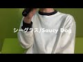 シーグラス/Saucy Dog 歌いました。