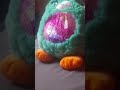 ava:miau miau miau!