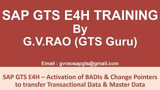 SAP GTS E4H   Activation of BADIs & Change Pointers to Transfer Transactional Data and Master Data