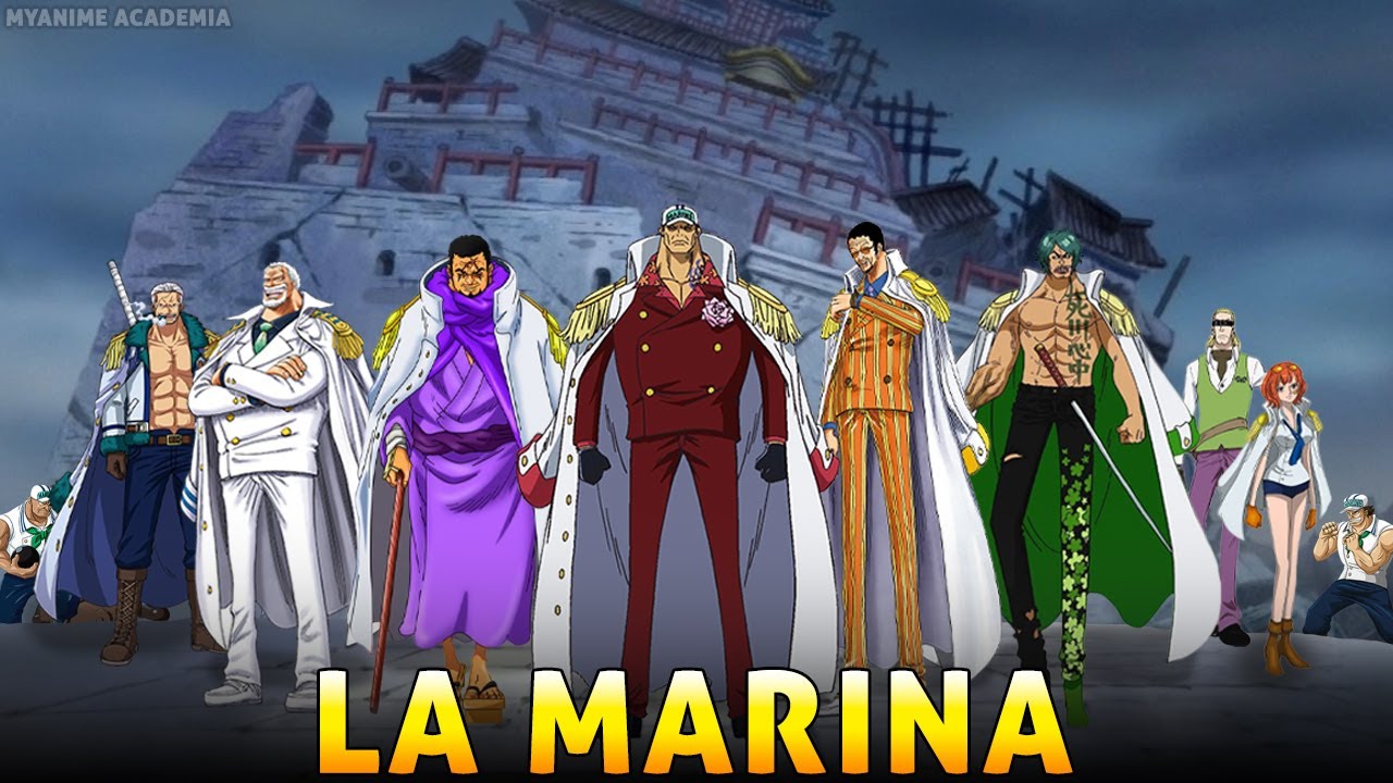 La GERARCHIA della Marina SPIEGATA | One Piece