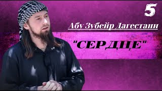 Абу Зубейр Дагестани- Урок \