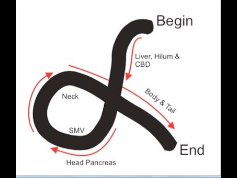 Basics of Linear EUS , Railroad technique, Alpha manoeuvre, Contrast EUS, EUS FNA tips and tricks