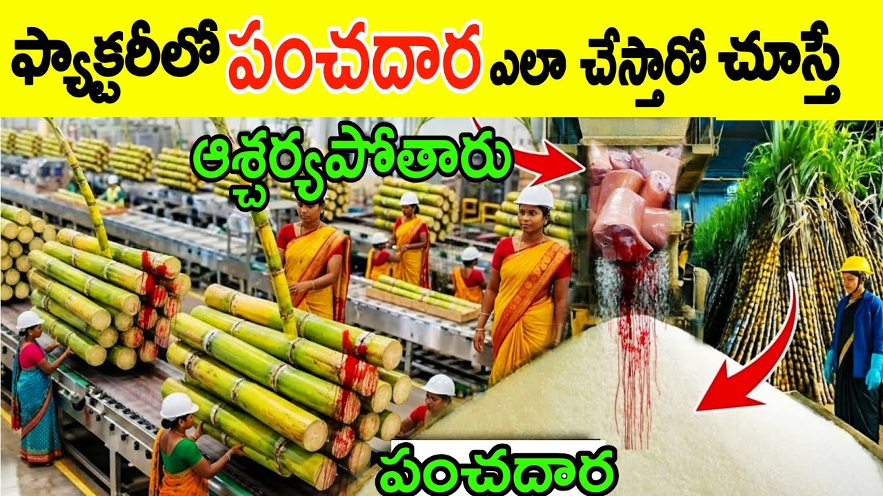 మిస్టరీగా నడుపుతున్న ఫ్యాక్టరీలో వీళ్లు పంచదార ఎలా తయారు చేస్తున్నారు చూస్తే అందరూ ఆశ్చర్యపోతారుtips