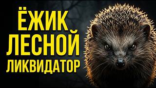 Еж: иммунитет к ядам, 5000 игл и секреты, которые вы не знали!