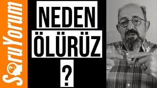 SoruYorum - Neden Ölürüz ?