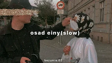 amr diab - osad einy |@bezumie.02| (slowed)