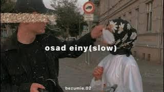 amr diab - osad einy |@bezumie.02| (slowed)