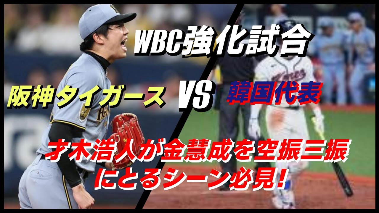 WBC強化試合　阪神タイガースー韓国代表の一戦の一部をスタンド目線でご紹介