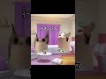 愛することは、いのちがけだよ。甘いとは思わない。 #猫ミーム