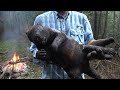PRIMITIVE TECHNOLOGY | PORCUPINE Cooked in UNDERGROUND Earth Hangi! | ASMR (Silent)