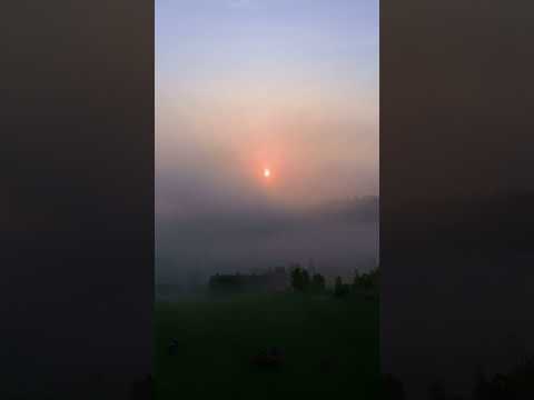 4M - Mysterious Morning Mist Magic