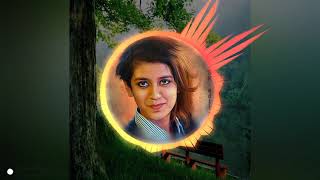 Oru Adaar Love | Manikya Malaraya Poovi Song Video| #Editzz_Nithin_Neeravil