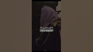 سوره الفرقان ..الشيخ محمد اللحيدان #قرآن #اكسبلور #لايك