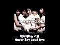 베이비복스 리브(Babyvox Re.v) - Never Say Good Bye(Audio)