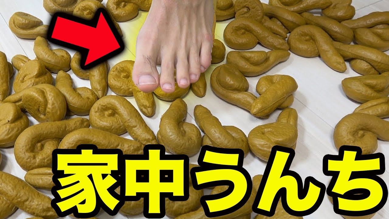 家中うんち うんちを踏まずに家から脱出できるか Youtube