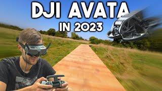 DJI Avata - 1 Year Later !?