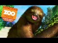 SLOTHS SLOTHS SLOTHS! | Zoo Tycoon : Ultimate Animal Collection #6