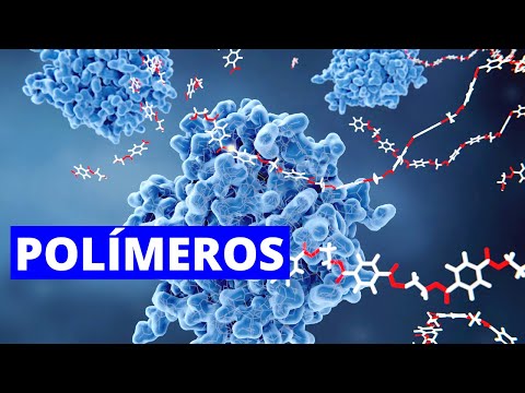 Video: ¿Por qué las proteínas son heteropolímeros?
