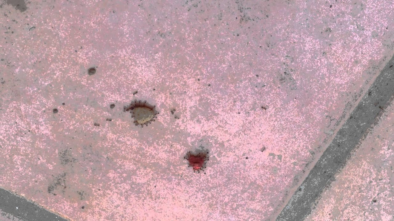 Ant symmetry times of israel right wing