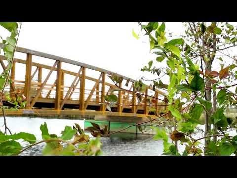Harbor Shores Resort:   Pedestrian Bridge
