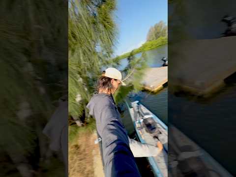 The Secret Behind LIVE Watersports' Incredible Stability