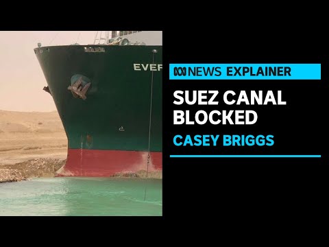 How a massive container ship blocked Egypt's Suez Canal | ABC News