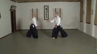 Introduction to the Aikido Guide