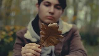 Cate frunze is in nuc (AI Cover)