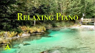 🦜🌿 Bird Sounds & Piano Music 🎹🎧 Birds Sounds With Relaxing Piano Music
