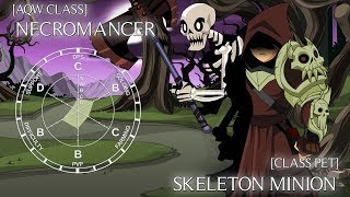 AQW Necromancer Overview