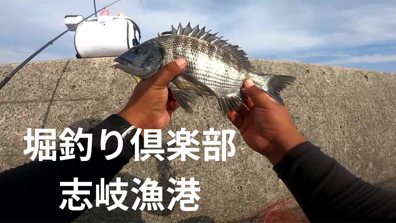 天草の志岐漁港でチヌを釣る