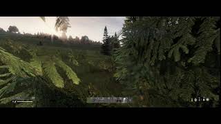 Dayz test stream(no mic)