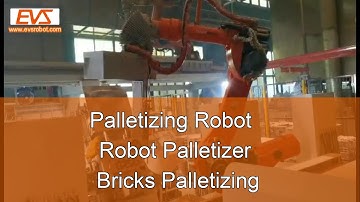 Palletizing Robot   Robot Palletizer   Bricks Palletizing