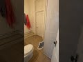 UWEC Area Apartments for rent 1501 State St Apt C Eau Claire WI