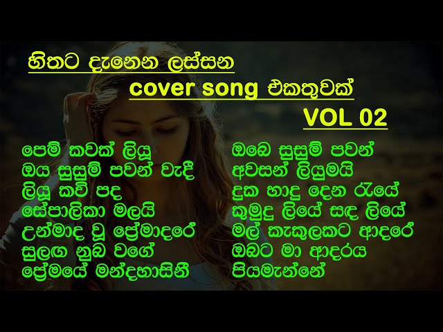 හිතට දැනෙන Cover Collection එක VOL 02 | Best Sinhala Cover Song Collection | SL Evoke Music class=