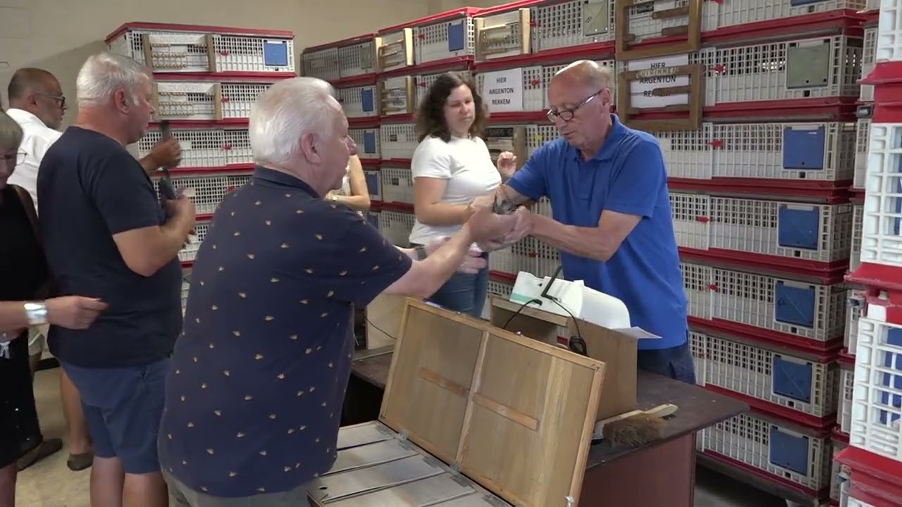 Oriëntatie van duiven